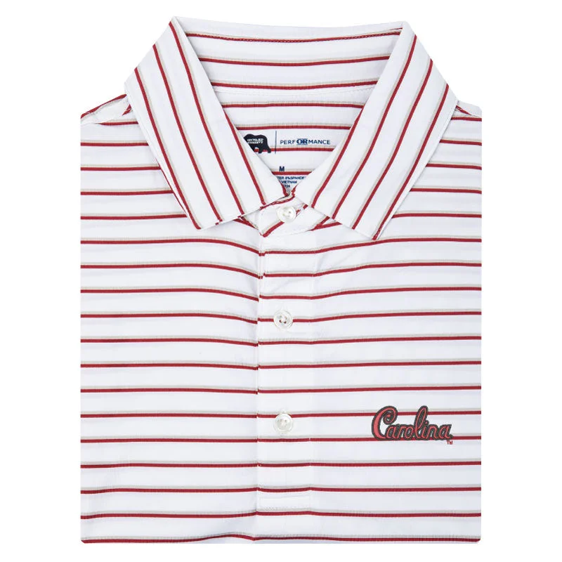 men's eco-friendly polo shirts-University of South Carolina Script Fairway Stripe Performance Polo