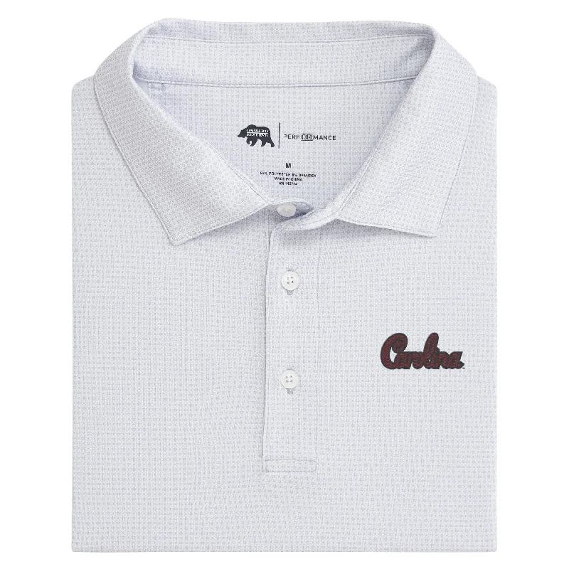 men's tapered fit polo shirts-South Carolina Script Range Printed Performance Polo